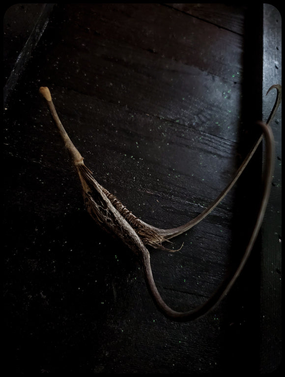 Devil's Claw