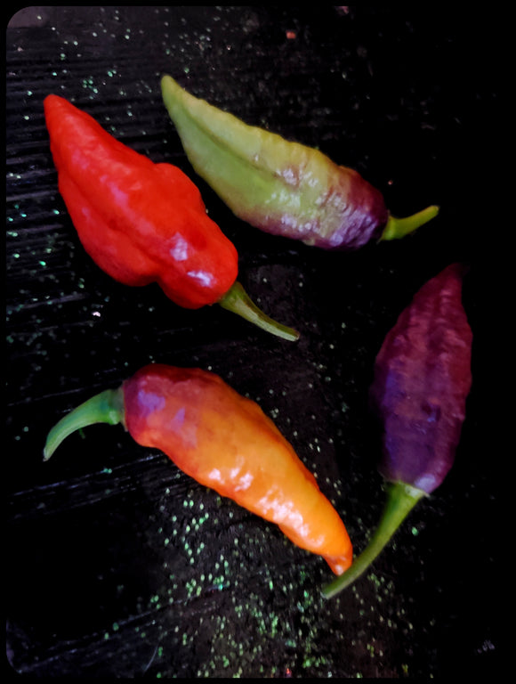 Ghost Pepper ~ *VOODOO*